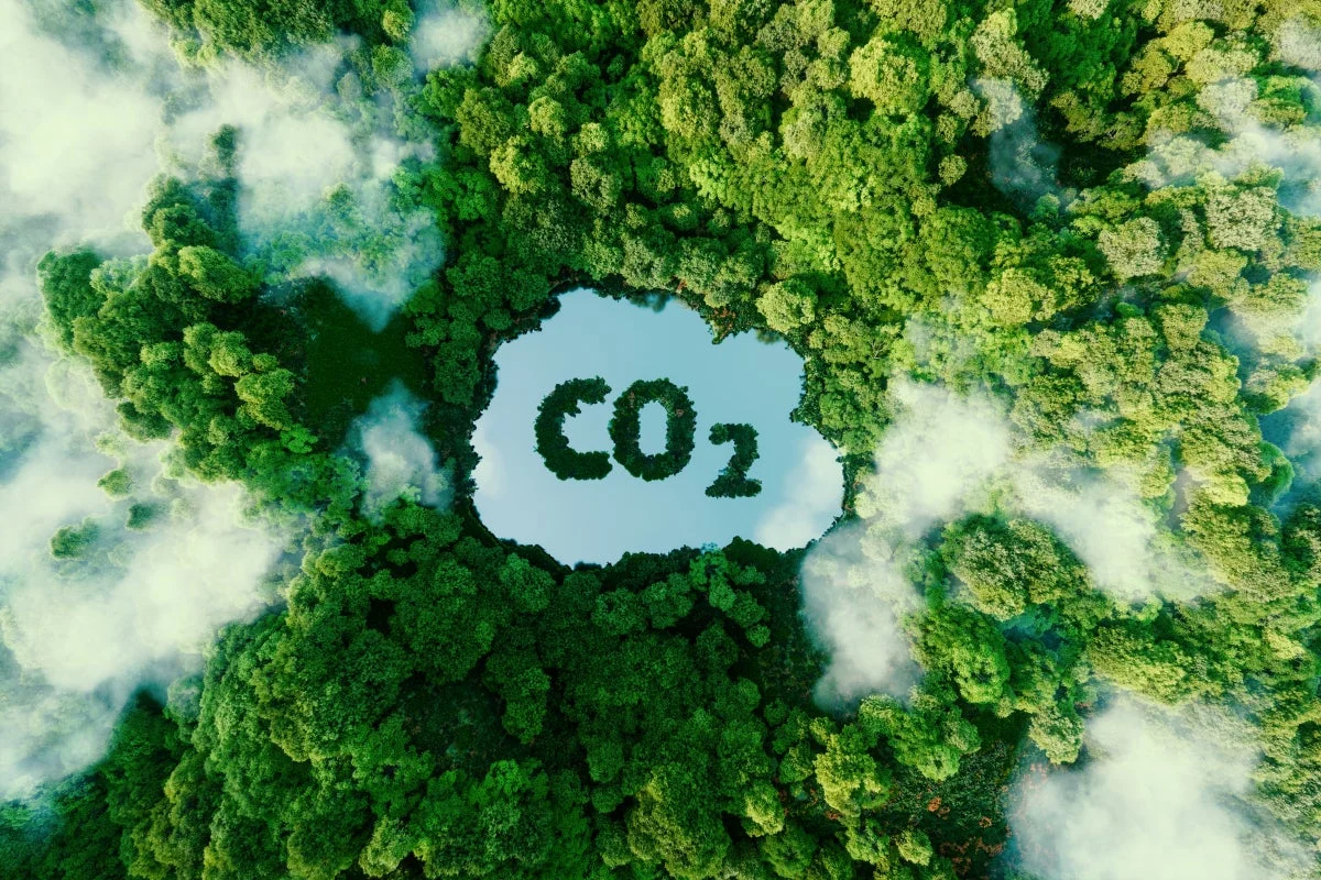 The Carbon Cost of Intelligence: Is AI’s Climate Promise a Dangerous Illusion?