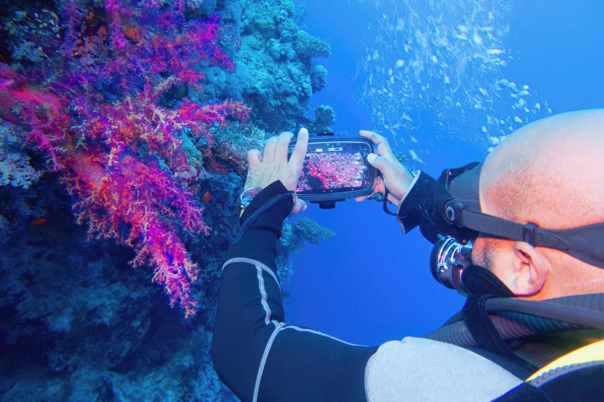 Healing the Reefs: Stanford Researchers Discover Novel Method to Reverse Coral Bleaching