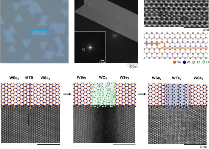 The Dawn of Atomic-Scale Fabrication: How In-Situ TMDC Engineering Could Redefine Semiconductor Manufacturing