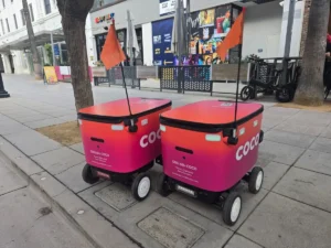 The Rise of the Sidewalk Bots: Delivery Robots Face Growing Public Backlash and Legal Scrutiny